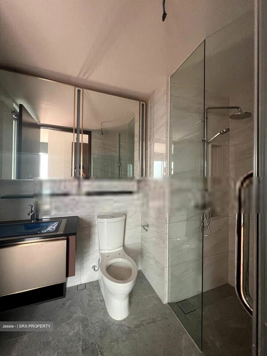 Normanton Park (D5), Apartment #411921241
